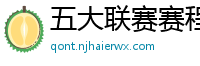 五大联赛赛程时间表2024年